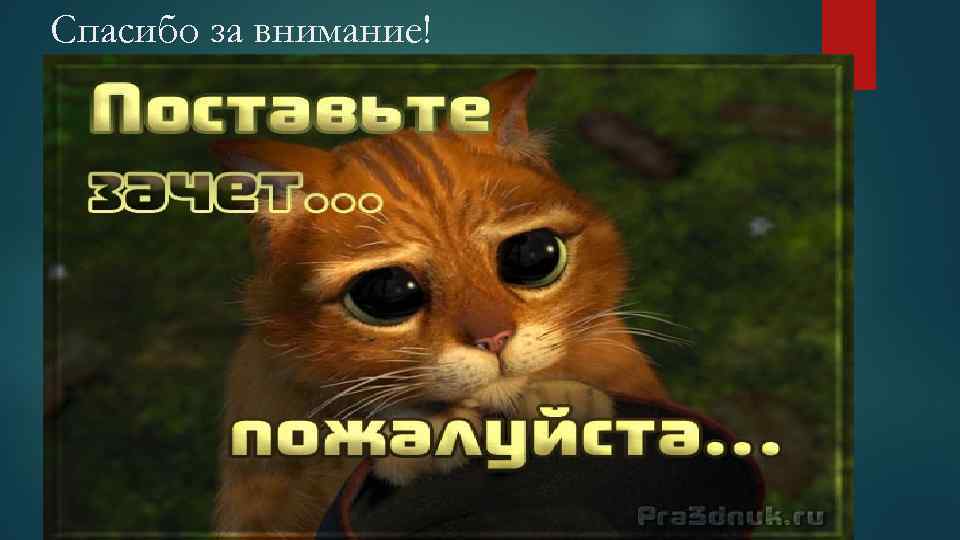 image-4.jpg